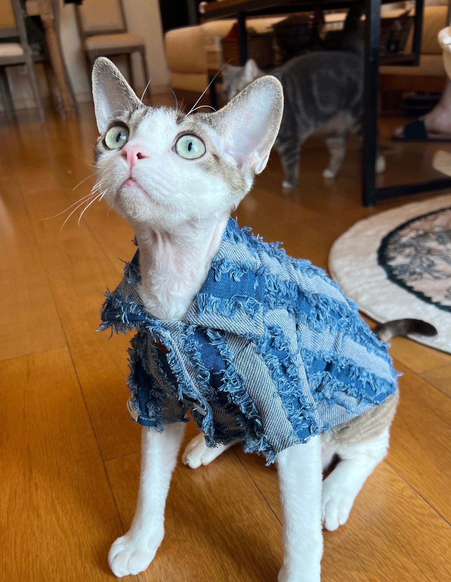 Fancy soft denim cat shirt