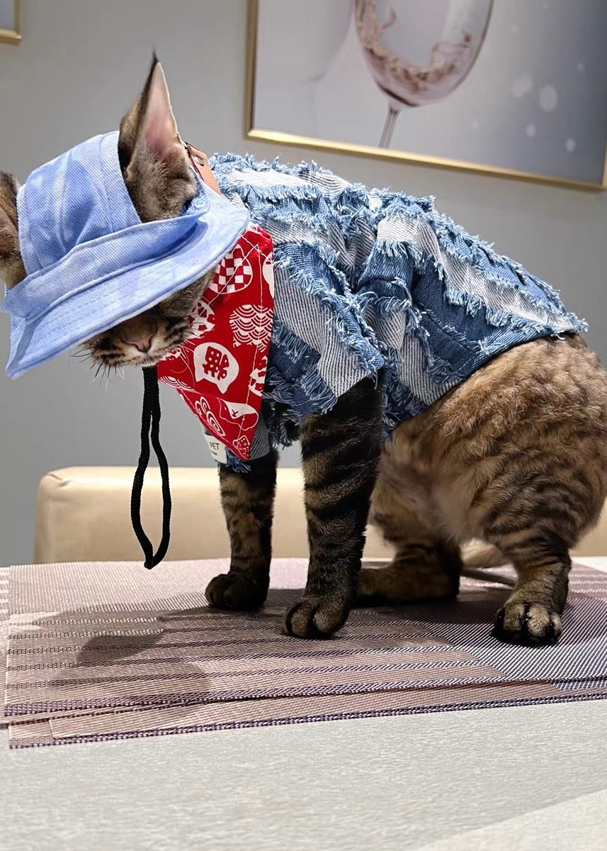 Fancy soft denim cat shirt