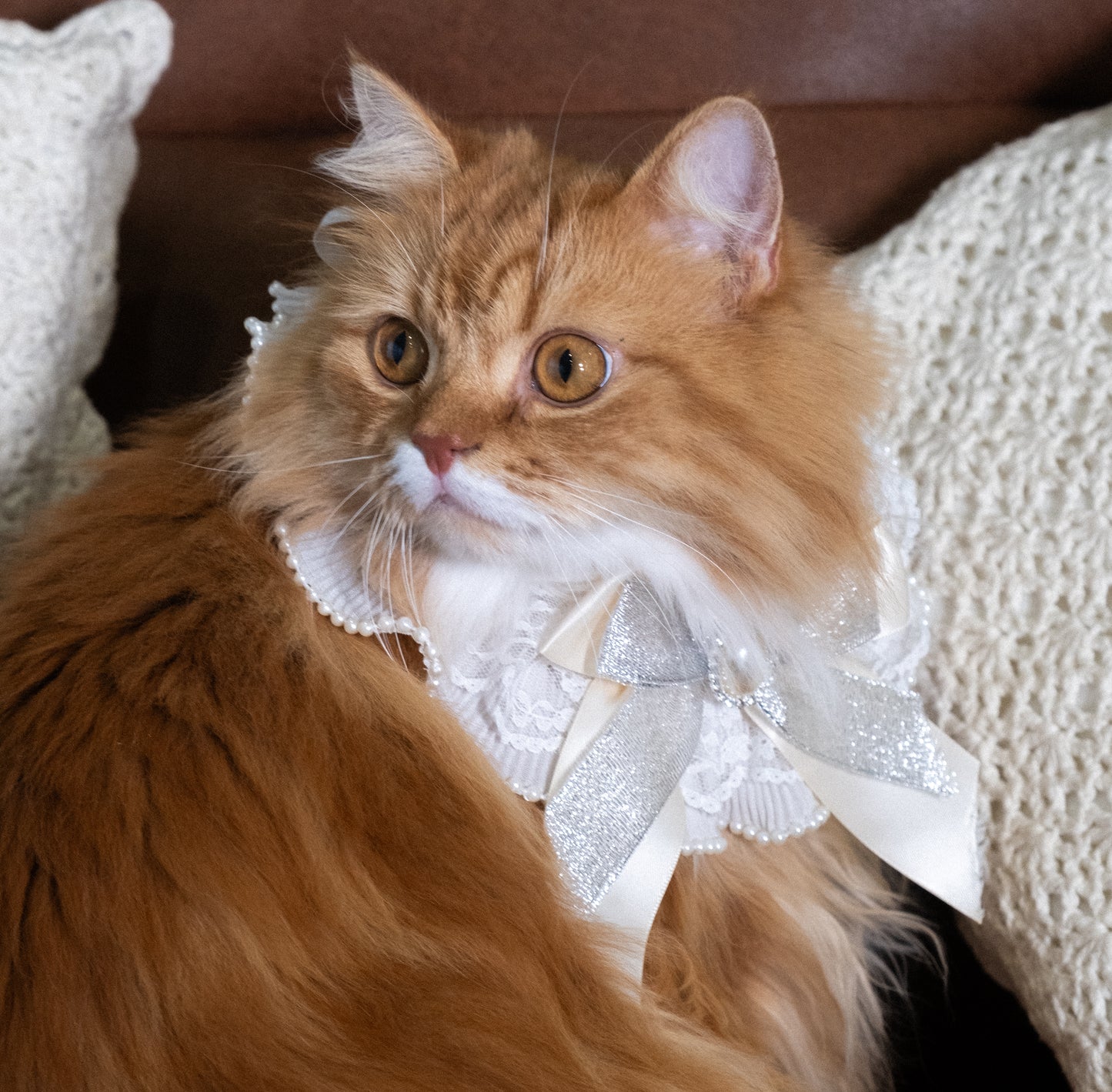 STYLE MY CAT STUDIO Pearl Bowtie Drool Bib