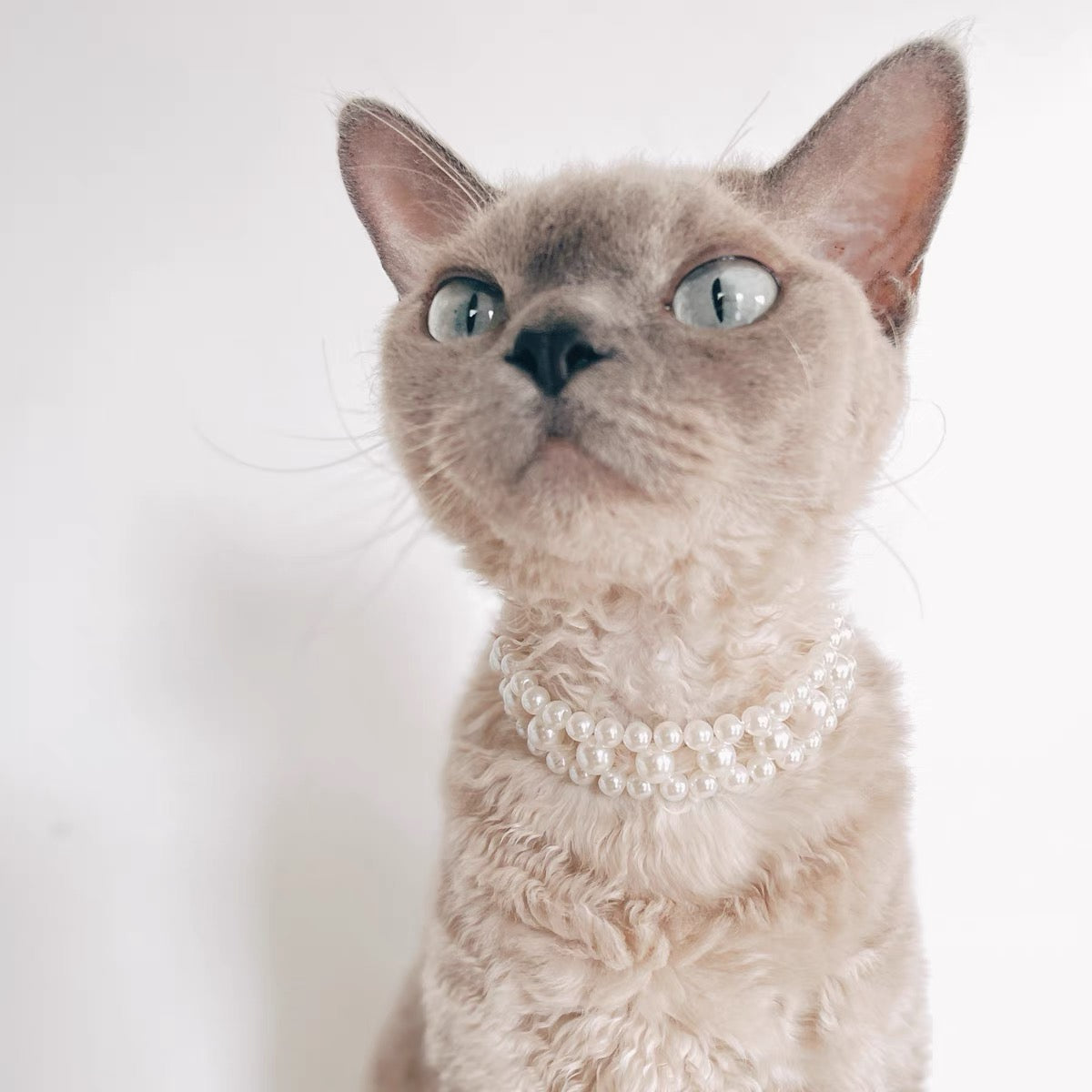 STYLE MY CAT STUDIO Vintage Pearl Necklace