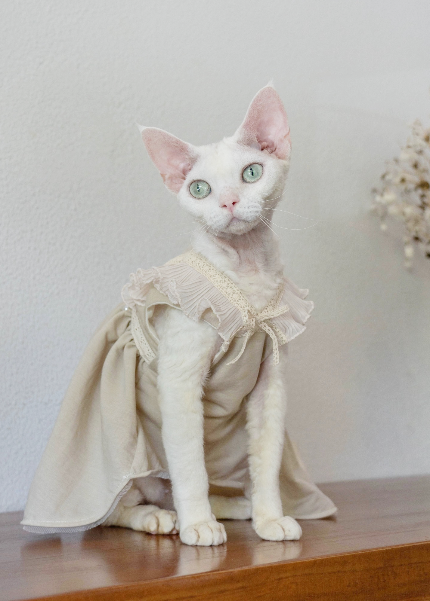 Gingerain Cotton Linen Pet Princess Dress