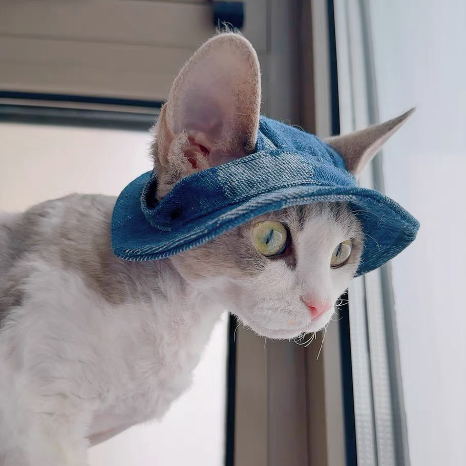 Urban Denim Cat Hat