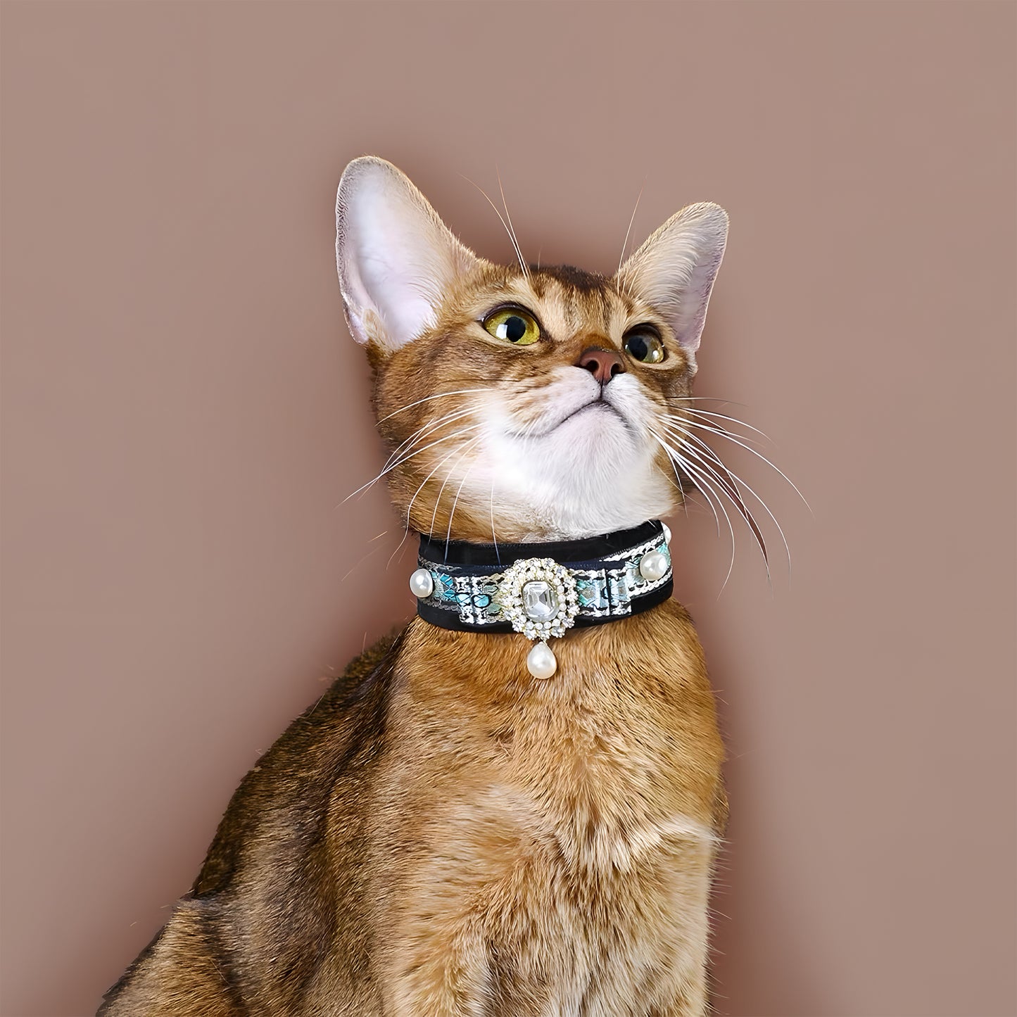 Luxurious style velvet gemstone pet collar