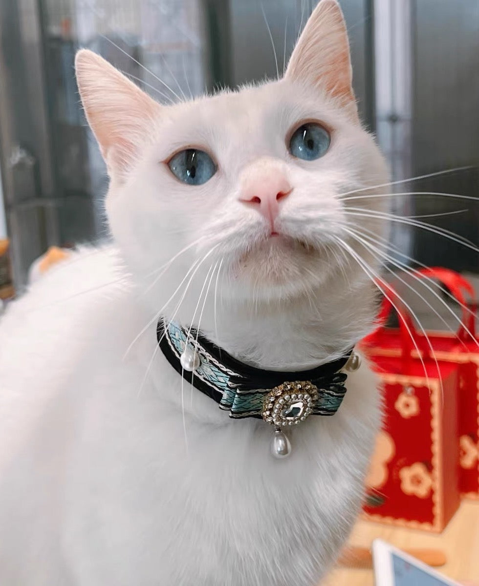 Luxurious style velvet gemstone pet collar