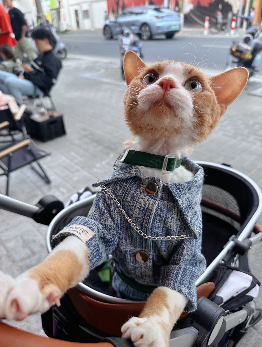 Denim Fashion Chain Cat Shirt